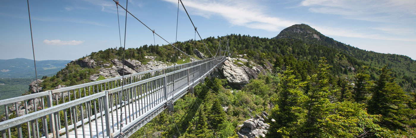 grandfather mountain real estate