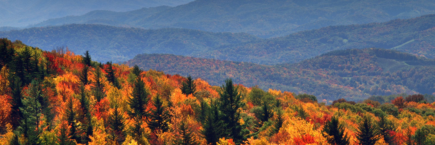 Linville real estate