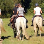 Horseback Riding